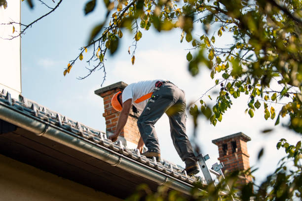 Best Roof Ventilation Installation  in Woodworth, OH