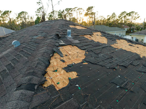 Best Asphalt Shingle Roofing  in Woodworth, OH