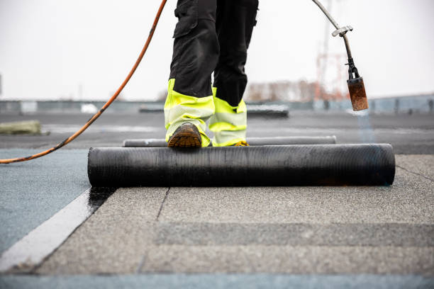 Best Asphalt Shingles Roofing  in Woodworth, OH