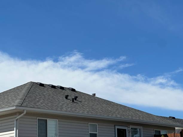 Best Emergency Roof Repair Services  in Woodworth, OH